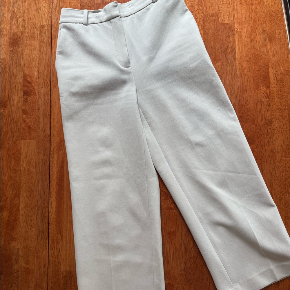 Aritzia Agency Cropped Pant